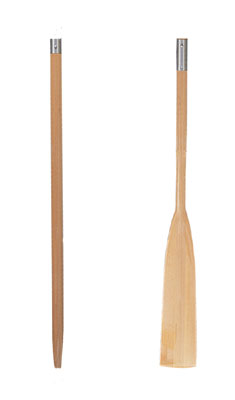ART.18